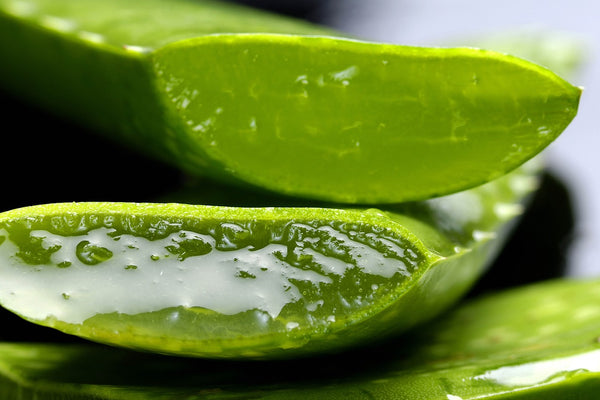 The Miracles of Aloe Vera in Your Skincare