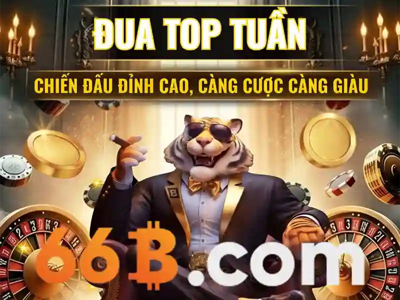 Hỗ trợ 66b – Giới thiệu tổng quan