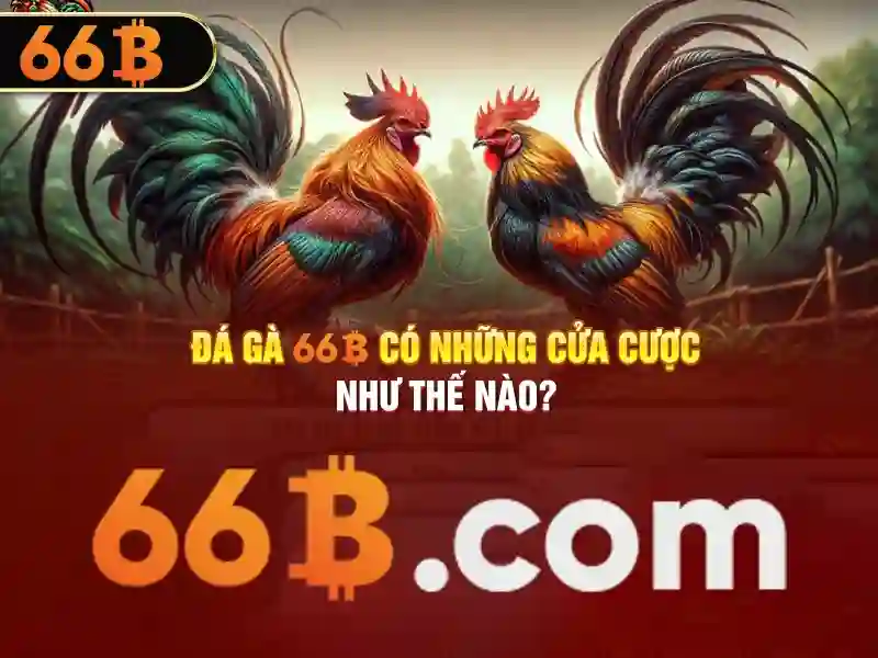 '66b có giấy phép không – Phần mở đầu đầy cảm hứng'