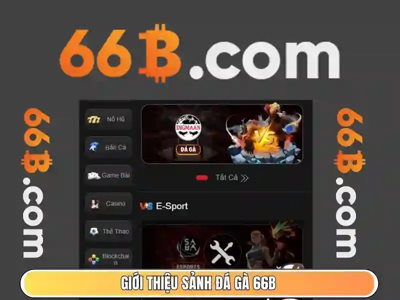 66b là gì