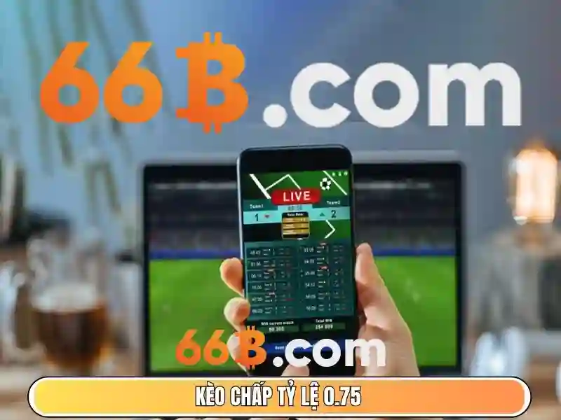 cờ caro 66b – Nguồn gốc, tên gọi và sứ mệnh