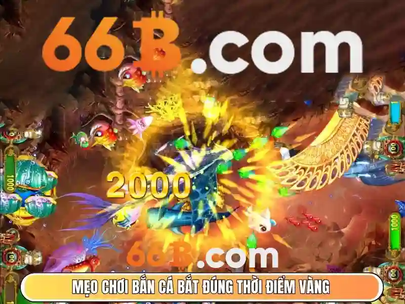 Kiến trúc của 66b và cách nó hoạt động