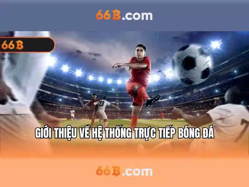 Kiến trúc cơ bản của 66B