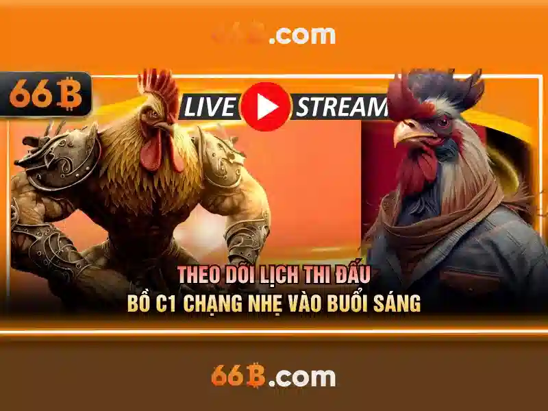 Lợi ích và ứng dụng của 66B