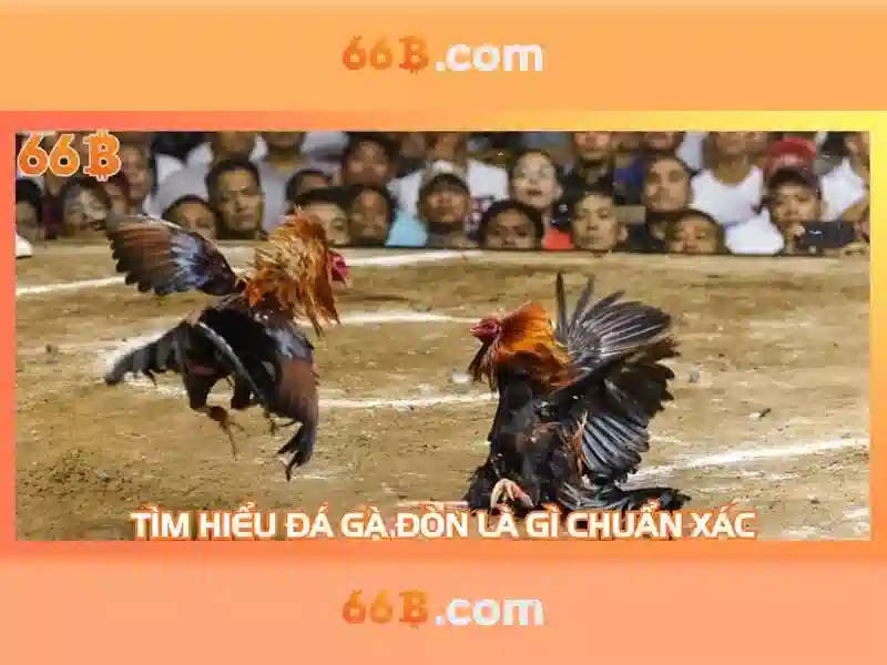 Giới thiệu về 66B
