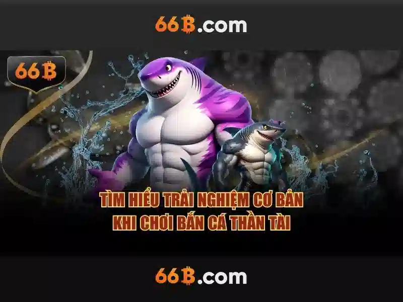 66b nguyễn sĩ sách p15, q tân bình – Tóm tắt chủ đề và giá trị cốt lõi