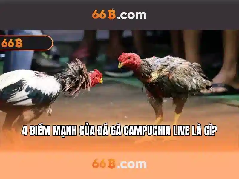 Kiến trúc và đặc điểm của 66B