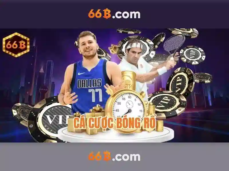 66B là gì?
