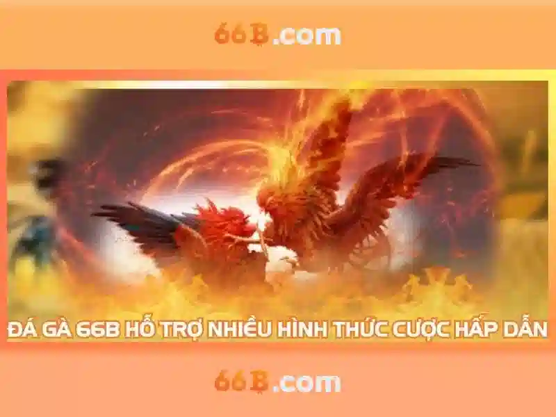 Số 6 ngõ 66b triều khúc hà nội - hành trình thương hiệu và ứng dụng Giao diện nhà cái hoàn hảo