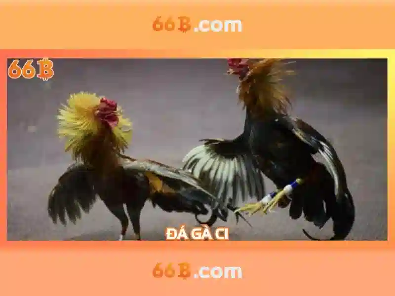 section 66b of the finance act 1994 – chu de tong quan va gia tri cot loi