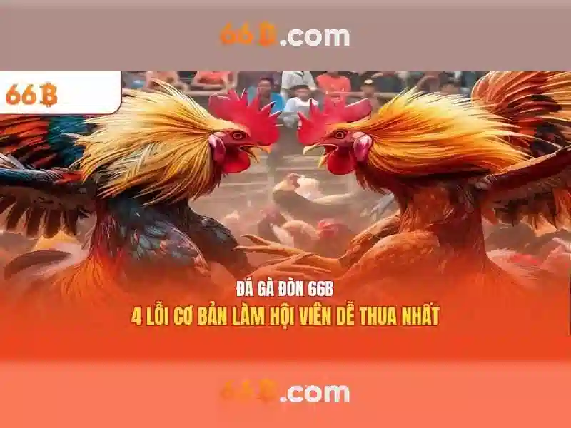 Giao diện nhà cái hoàn hảo