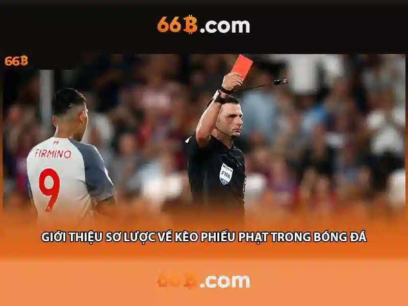 66b phan đăng lưu – sản phẩm và dịch vụ cốt lõi</b></h2>