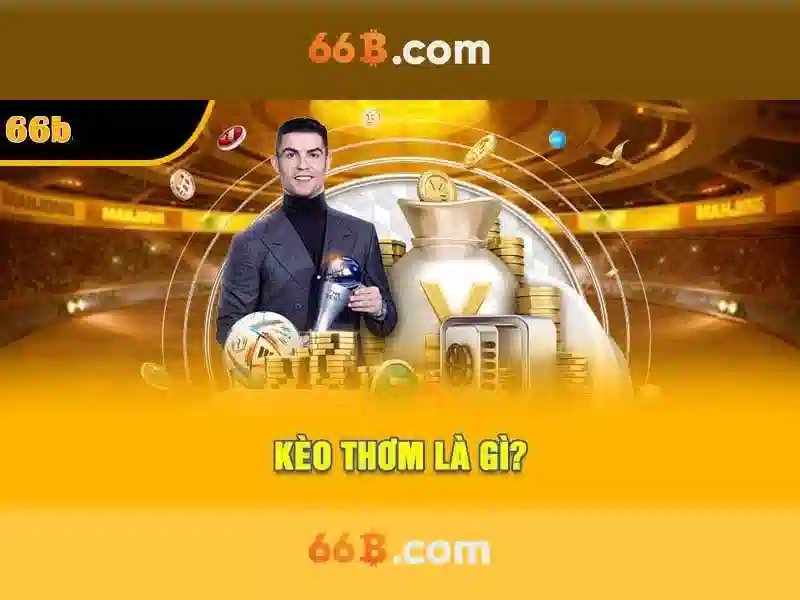 66b. com – Tóm lược chủ đề và giá trị cốt lõi