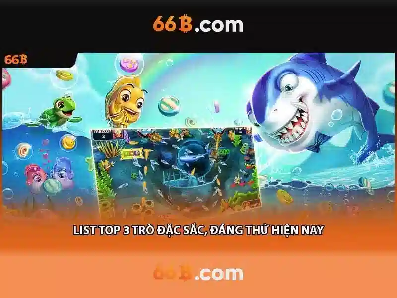 66b là gì?