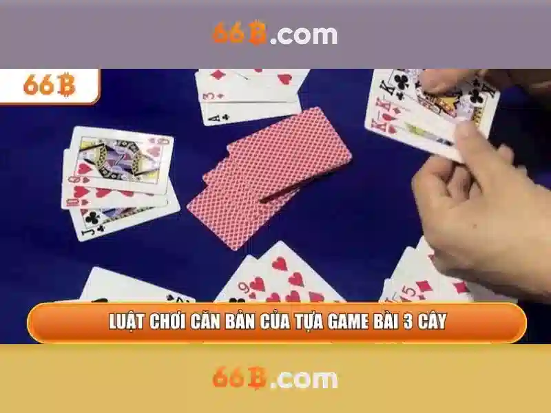 Kinh nghiệm mua sắm áo ngực 66B