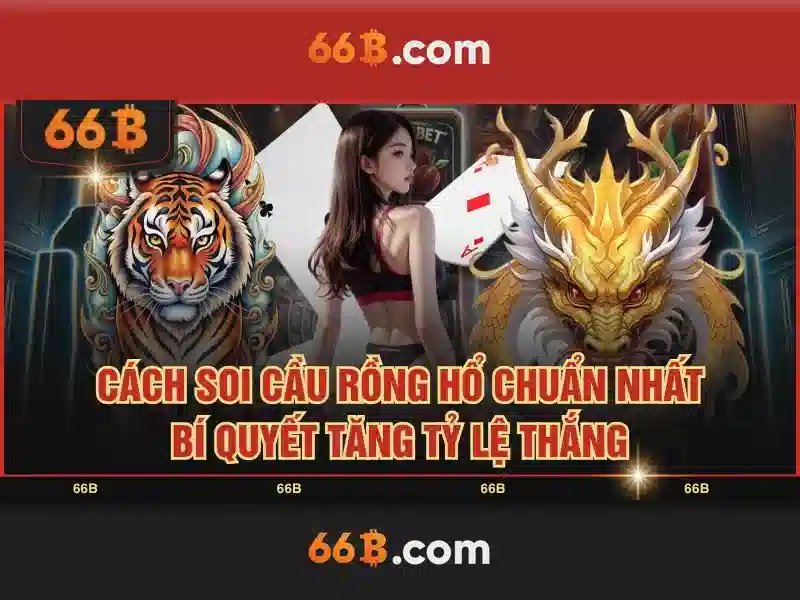 hoogoorddreef 66b – tổng quan chủ đề và giá trị cốt lõi