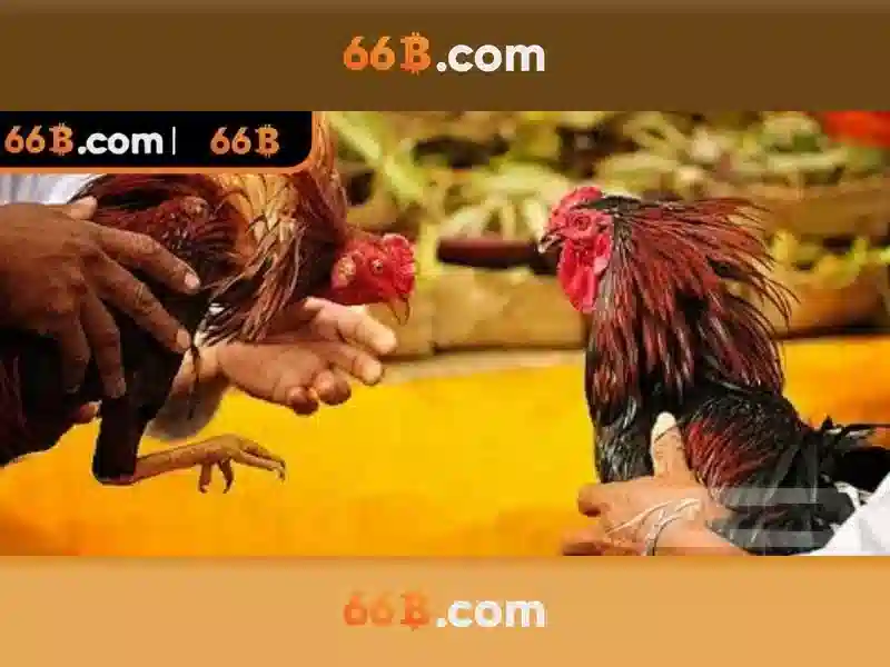 Giao diện nhà cái hoàn hảo