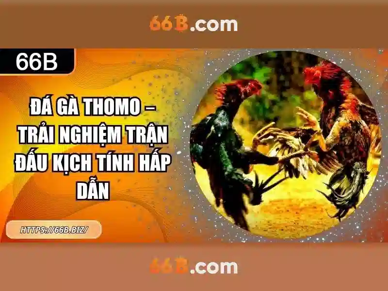 So sánh với các công nghệ liên quan\n<h5>Triển vọng tương lai của 66b</h5>\n<p><span style=