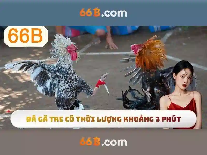 66B: mô hình ngôn ngữ 66 tỷ tham số và vai trò của nó Giao diện nhà cái hoàn hảo