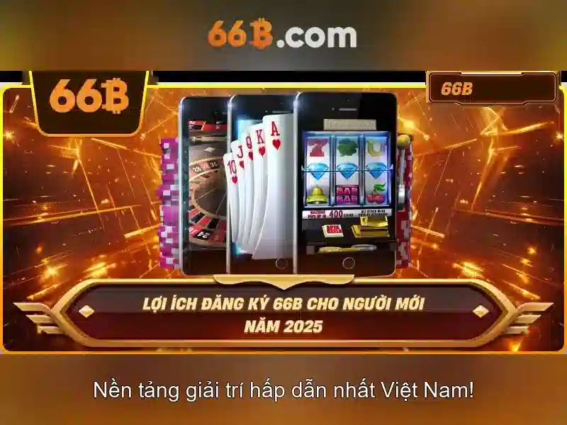 66b là gì?