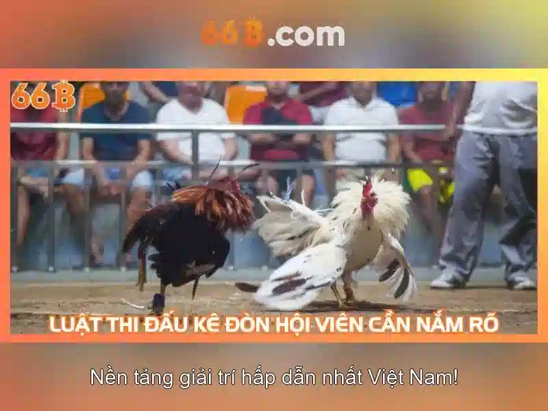 Kiến trúc và khả năng của 66B