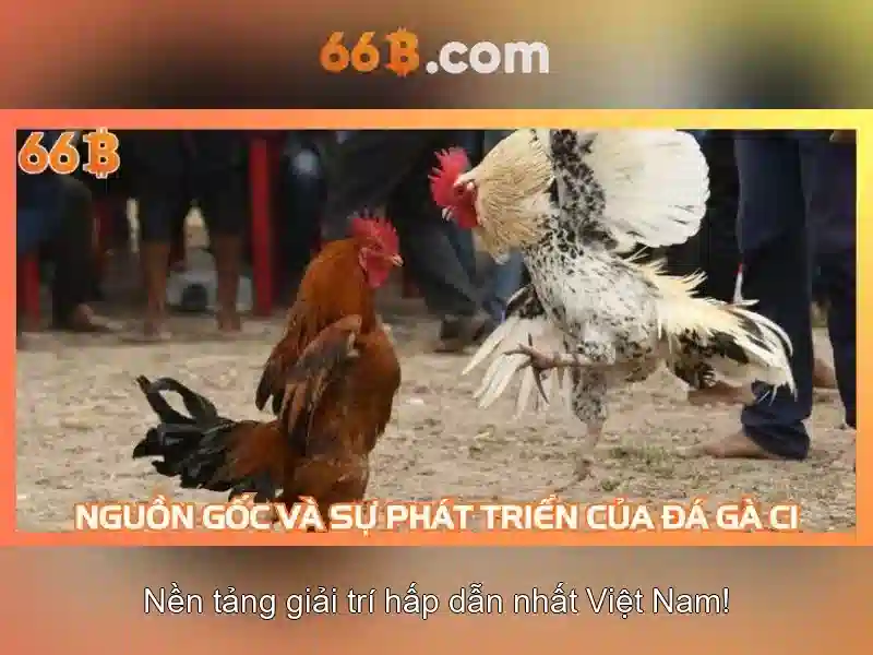 Dinh huong phat trien va tam nhin tuong lai
