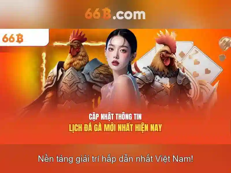 66b trong công nghệ và dữ liệu