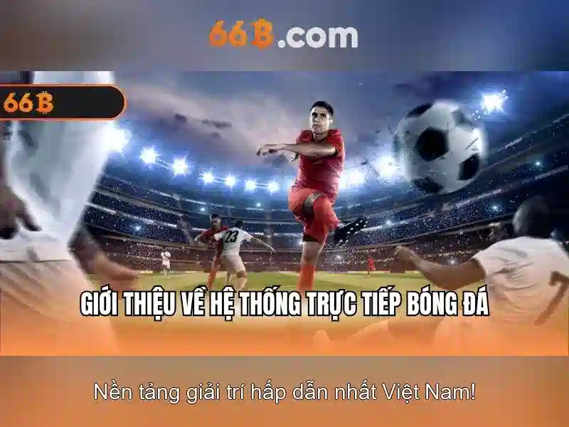 Giao diện nhà cái hoàn hảo