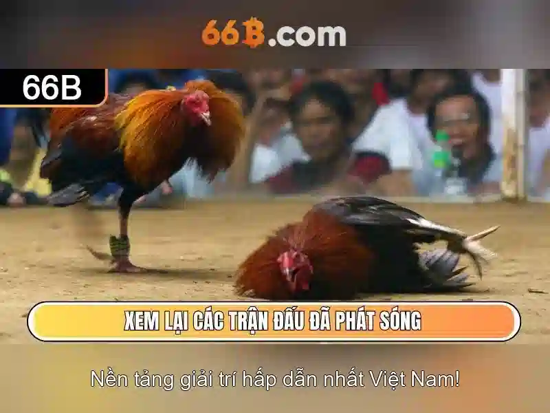 Đảm bảo an toàn và chất lượng