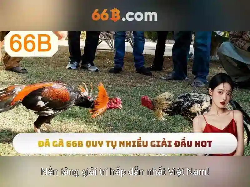 66B: Mô hình ngôn ngữ 66 tỷ tham số và tương lai trí tuệ nhân tạo Giao diện nhà cái hoàn hảo