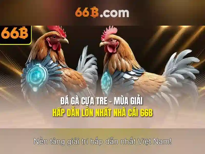 Nội dung mở rộng về đào tạo và dữ liệu