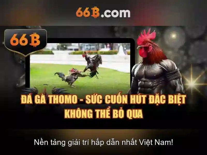 Thách thức và rủi ro