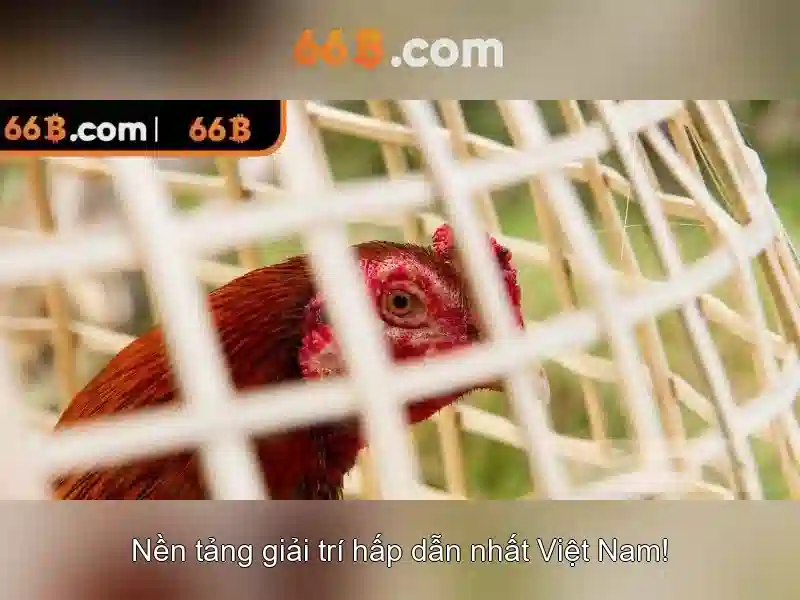Độ tin cậy và thách thức