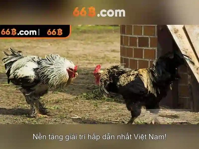 Kết cấu và kiến trúc của 66B