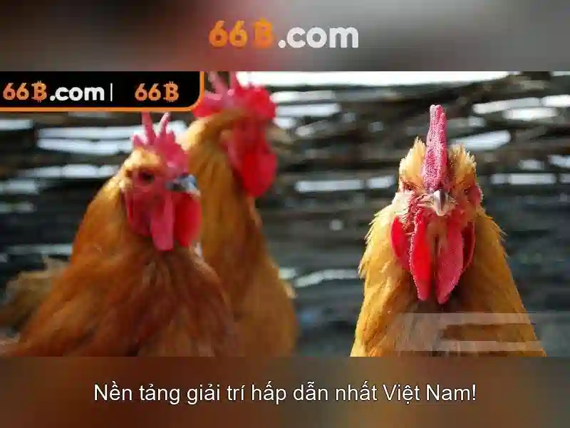 Hiệu năng và giới hạn