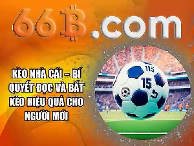 66b là gì?