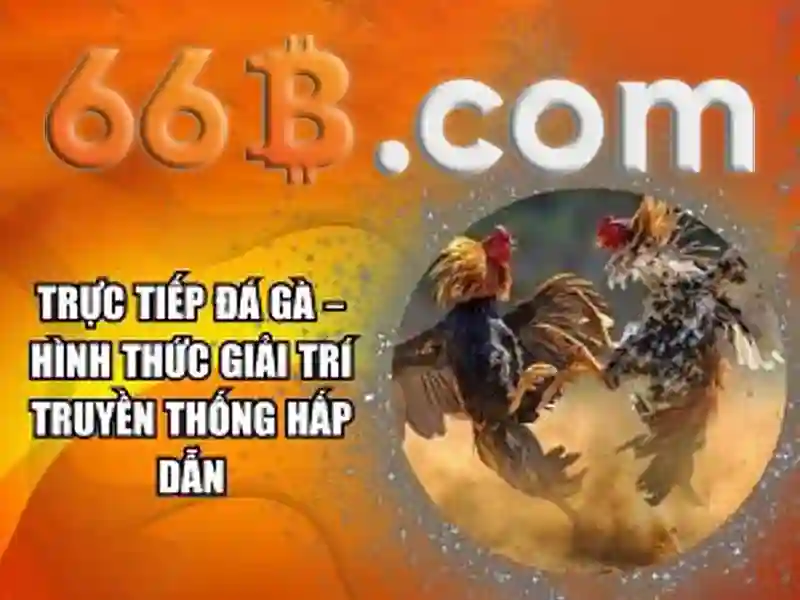 Giao diện nhà cái hoàn hảo