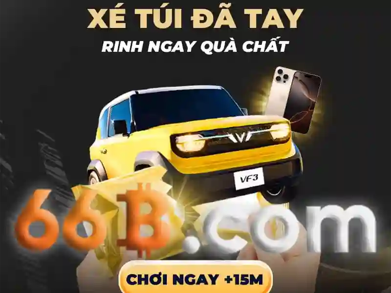 66b: định nghĩa và ý nghĩa