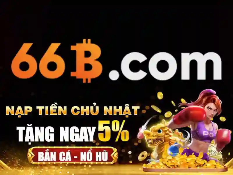 Các sản phẩm và dịch vụ cốt lõi: ứng dụng thực tế của 66b thuốc bắc