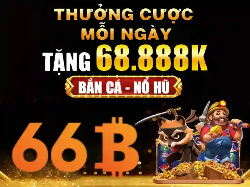 Trải nghiệm người dùng và phản hồi từ cộng đồng
